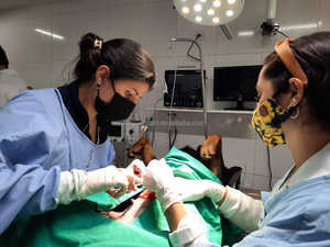 Giá rẻ 6 thông số quan trọng dấu hiệu Xe cứu thương thiết bị thú y xách tay firstaid thiết bị - Product Image 2