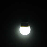 2835SMD DC12V Led Ampoule 3W Ampoule intérieure AC/Dc12-85V avec pince d'alimentation de 1.4 mètres 3000K CCT ROHS certifiée pour un usage résidentiel