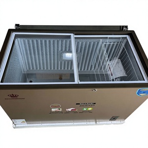 Congelador Horizontal Royal RR15 500FR de 269 Litros con Doble Puerta y Sistema Push-Pull, Color Dorado, para Almacenamiento Doméstico y Comercial, GMCC, Mercado Árabe - Product Image 2