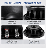 Haut-parleur passif en métal néodyme de 10 pouces, 16 ohms, 250 W RMS, bobine vocale de 75 mm, woofer professionnel pour sonorisation de stade et scène, ligne de sonorisation