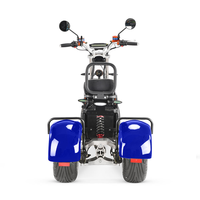 Trike Listrik Citycoco 1000W Berdaya Tinggi untuk Dewasa, Skuter Listrik 3 Roda dengan Baterai Lepas Pasang & Ban Lebar