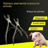Nuevas Pinzas de Acero Inoxidable para Cortar Dientes de Cerdos MUFA, Cortador de Dientes para Lechones de 14 cm