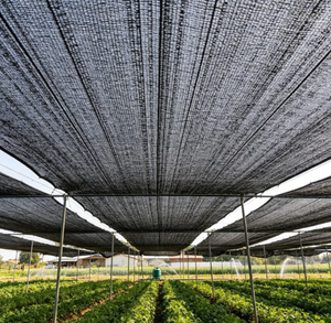 Filet d'ombrage noir pour serres agricoles, protection solaire pour toitures de pépinières, maille extérieure pour plantes agricoles - Product Image 1