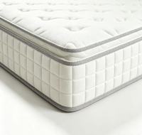 Colchón de Espuma Viscoelástica Moderno Personalizado, Precio al por Mayor, Colchón Comprimible para Hotel, King, Queen, Doble