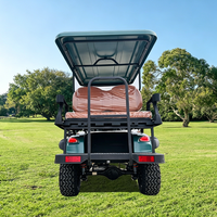 Voiturette de golf électrique surélevée 4 places tout-terrain pour la visite des sites touristiques, idéale pour les parcs, les stations balnéaires et les hôtels