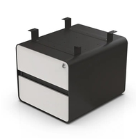 Armoire de rangement de fichiers de bureau mobile LYBS avec 2 tiroirs, construction en acier, design moderne pour utilisation en atelier