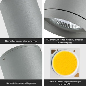 Thiết kế 2025 thương mại cửa hàng Trần bề mặt được gắn COB 12Watt <span class=keywords><strong>LED</strong></span> xuống ánh sáng - Product Image 6