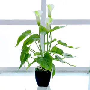 S02195 High-quality artificial green decorative tree high simulation real touch calla lily artificial plant with pot artificial