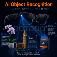 Lunettes de reconnaissance d'objets IA M88 avec caméra 1080p, numérisation en temps réel, assistant vocal et appels audio à dos ouvert