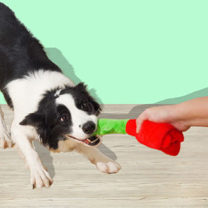 Doe Pet aksesuarları toptan özel kırmızı gül otomatik köpek ses oyuncaklar noel köpek çiğnemek oyuncak hediye Pet köpek sevgililer çiğnemek oyuncak - Product Image 5