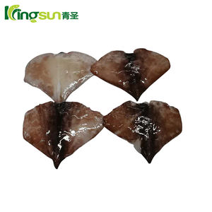 Buen precio para alas de calamar <span class=keywords><strong>gigante</strong></span> congeladas de Perú especies de <span class=keywords><strong>besugo</strong></span> y aleta de hilo de alta calidad - Product Image 4