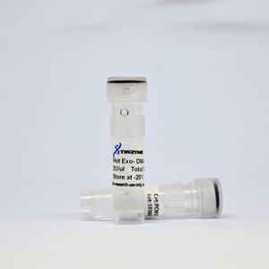 Tinzyme Hot Exo-DNA Polimerasa, Enzima Natural Mediante Ingeniería Genética, 1KU/vial, 99% de Pureza - Product Image 4