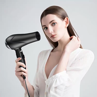 Vente chaude Portable Sèche-Cheveux Salon Professionnel Ion Négatif Sèche-Cheveux Haute Vitesse pour Ménage Hôtel Sèche-Cheveux