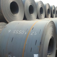 Fourniture d'usine SGCC/CGCC/TDC51DZM Grades Rouleau de bobine de feuille d'acier au carbone laminé à chaud Normes DIN BS Pliage Épaisseur 2-10mm