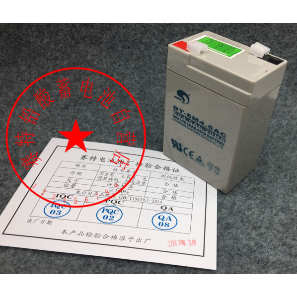 Saite BT-6M4.5AC 6V 4.5Ah Lead Acid Battery For Children's Car And Electronic Scale