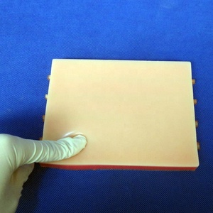 Coussin d'entraînement par Injection IV économique, modèle de viiperforation - Product Image 2