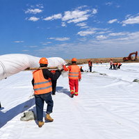 Géotextile non tissé aiguilleté en polyester, tissu géotextile en PET pour le drainage des routes et des décharges