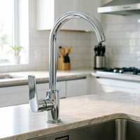 Robinet de cuisine au design moderne, à poignée unique, corps en alliage de zinc, noyau en céramique, idéal pour les hôtels et appartements