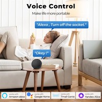 Enchufe Inteligente de Pared Tipo 147, 13A 240V, WiFi 2.4GHz, Control Remoto Móvil y por Voz, Zigbee, Puerto USB A, 2 Salidas, 2 en 1