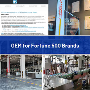 Pintura en Aerosol SANVO Ecológica, No Tóxica, de Alta Adhesión, para <span class=keywords><strong>Graffiti</strong></span> y Arte Callejero, para Decoración de Superficies de Madera, Metal y Lienzo - Product Image 6