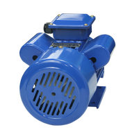 Moteur électrique asynchrone monophasé Taifeng haute performance YL 2HP 1,5kW 1400 tr/min Efficacité IE2 Montage au pied pour pompes à air