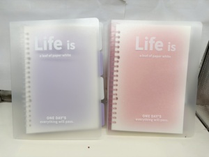 Gradiente Piccolo <span class=keywords><strong>A5</strong></span> a spirale quaderno di 60 pagine Journaling con carta pittura a matita Logo stampato personalizzato per il regalo - Product Image 3