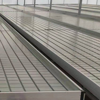 GT nouveau plateau de croissance Premium 4x8 plateaux d'inondation ebb et système de flux banc roulant tables de croissance