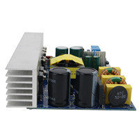Carte d'amplificateur numérique de classe D Peak 1000W, carte d'amplificateur de puissance mono avec alimentation à découpage
