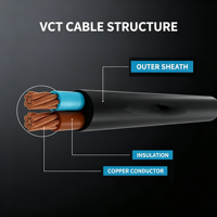 Câble d'alimentation plat en gros VCT 2 conducteurs 1,5 mm 2,5 mm 4 mm 6 mm 10 mm 16 mm 25 mm 35 mm isolé PVC 450/750V Thaïlande