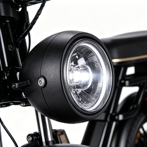 Bicicleta Eléctrica de Montaña DO-TOP Estilo Etro con Llantas Gruesas de 20 Pulgadas, Motor de 250W 48V de Litio con Motor Trasero sin Escobillas de 15AH, 7 Velocidades, Bicicleta Todoterreno Hidráulica - Product Image 4