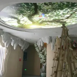 ZHIHAI-papel de pared Digital personalizado para Hotel, película elástica de PVC 3D para decoración de techo del hogar