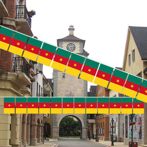 喀麦隆弦旗涤纶面料国旗生日派对节日装饰 - Product Image 3