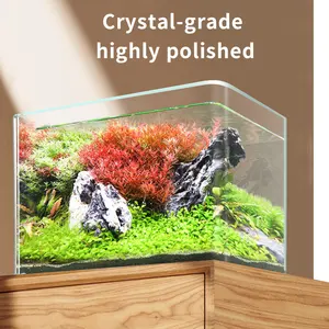 Yee Factory Wholesale Low Iron Ultra White Clear Hot Bent Glass Fish Tank 5 In 1 Small Ecological Salt Water Aquarium Fish Tank