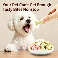N4P Vente Flash : Biscuits pour chiens de haute qualité, saveurs variées, cuits à basse température, 120g – Friandises quotidiennes pour l'entraînement des chiens