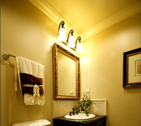 230V 4W IP44 Abat-jour en verre en forme de fleur Antique E14 LED Applique murale de salle de bain 6599