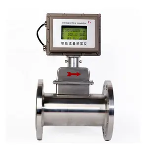 High Precision Nitrogen Flowmeter Ex-Proof RS485 Lpg Natural Gas Turbine Flow Meter