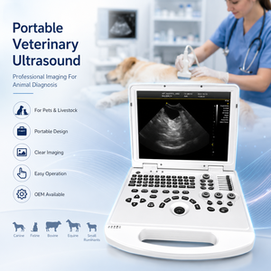 Ecógrafo Veterinario Portátil Doppler a Color Económico con Estuche de Transporte para Ganado y Mascotas - Product Image 1