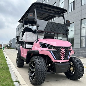 Voiturette de golf électrique de luxe tout-terrain 4 places Rainbow 48V 4kW à vendre, autonomie 100 km, batterie lithium, pour usage commercial - Product Image 2