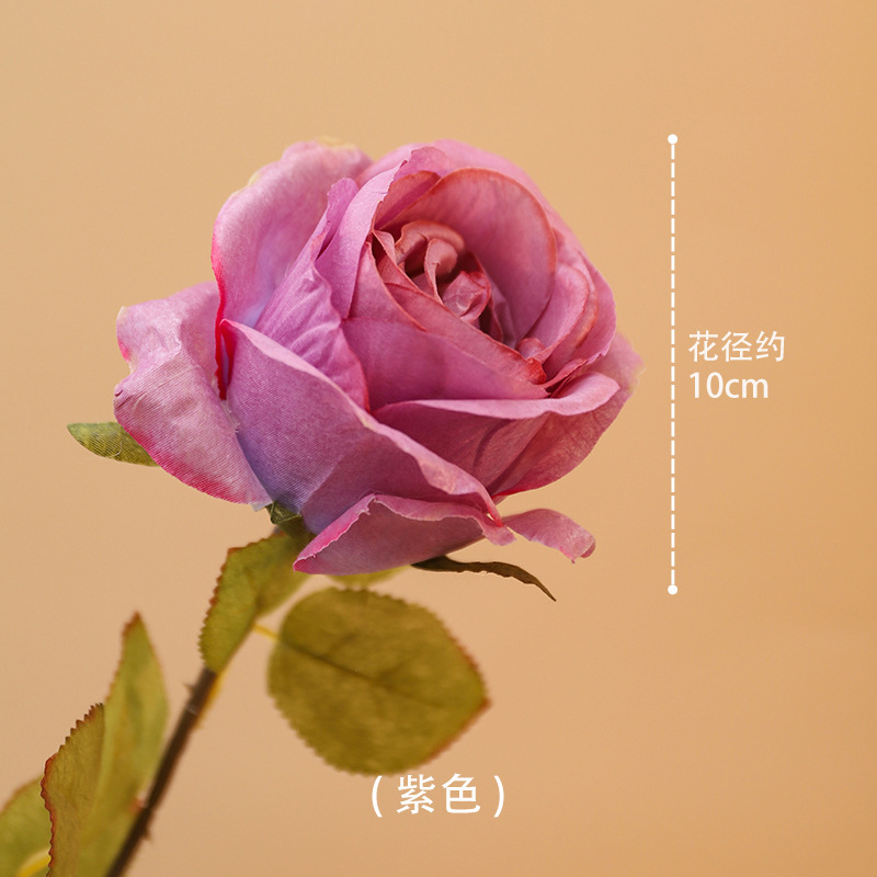 [Stile di tendenza] Rosa con bordo bruciato [Viola fascino notturno]