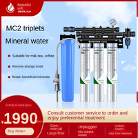 Purificateur d'eau commercial triple American Everpure MC2, machine à eau potable directe, cartouche de filtre à eau à bloc de carbone à trois têtes