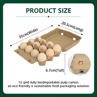 Carton à œufs en pâte de papier biodégradable, jetable, protecteur, en pâte naturelle épaissie, durable et recyclable, vente en gros