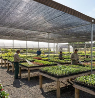 Toile d'ombrage premium en HDPE tricoté, résistante aux UV, pour l'agriculture, les serres, les fermes de légumes et les jardins