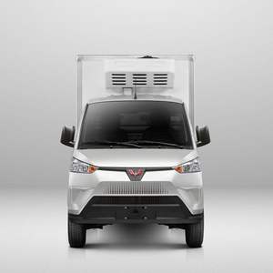 Transport spécial nourriture viande légumes fruits crème glacée poisson livraison congélateur <span class=keywords><strong>camion</strong></span> réfrigérateur voiture Wuling camionnette réfrigérée - Product Image 2