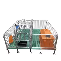 Nouveau enclos de gestation robuste pour truies, anti-collision, facile à nettoyer, galvanisé, adapté aux porcelets |   Équipement durable pour l'élevage porcin