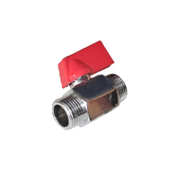 Vanne à boisseau sphérique personnalisée, manuelle, 2 voies, pour gaz et eau, double filetage mâle, mini, en bronze poli, 1/2''-4''