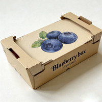 Hoge kwaliteit stevige recyclebare verpakking van gerecycled papier voor fruit (blauwe bessen, sinaasappels, bananen, kersen)