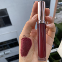 Vente en gros de rouge à lèvres mat très pigmenté longue durée imperméable à l'eau rouge à lèvres liquide antiadhésif rouge à lèvres mat