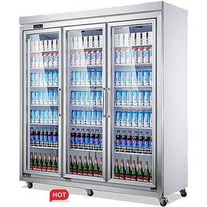 ビジネスニーズに応える信頼性の高いモンスターエネルギー飲み物表示