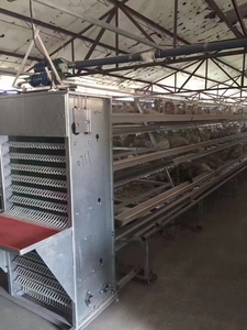 Cages à poules pondeuses <span class=keywords><strong>Cage</strong></span> de capacité 160 oiseaux Kenya couche cages à poulets <span class=keywords><strong>d</strong></span>'<span class=keywords><strong>occasion</strong></span> pour 2000 oiseaux Petites fermes - Product Image 6