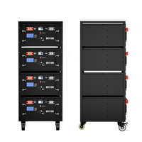 Système de stockage d'énergie solaire domestique monté sur rack, batterie lithium LiFePO4 51,2 V 100 Ah 200 Ah 5 kWh 10 kWh, alimentation de secours, BMS CAN, garantie 5 ans